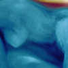 Akt Blau